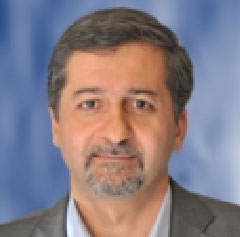 Prof. Soheil Mohammadi Tochaei